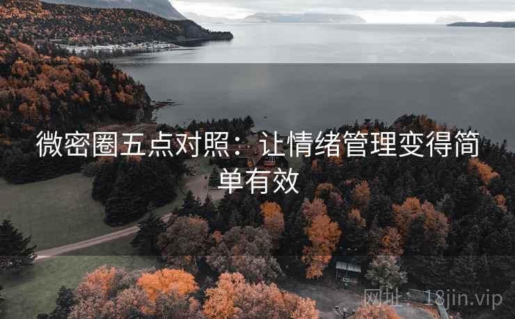 微密圈五点对照：让情绪管理变得简单有效