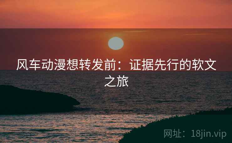 风车动漫想转发前：证据先行的软文之旅