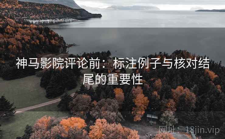 神马影院评论前：标注例子与核对结尾的重要性